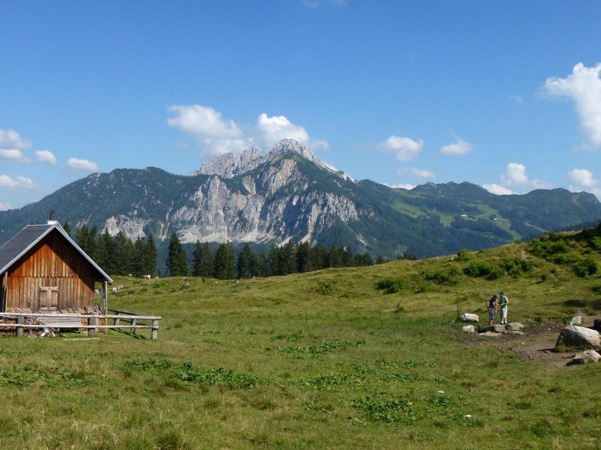 Apartment In Tr Polach Carinthia With Pool Tröpolach المظهر الخارجي الصورة