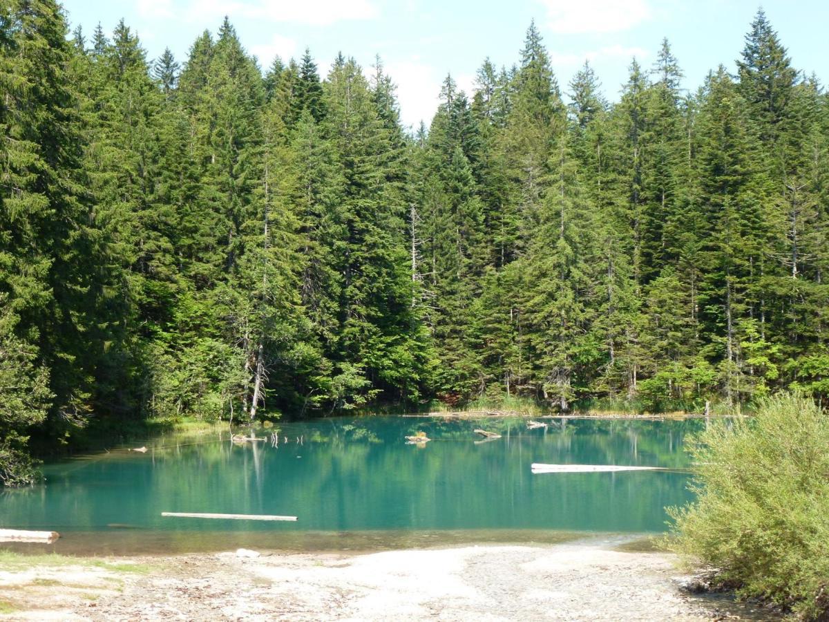 Apartment In Tr Polach Carinthia With Pool Tröpolach المظهر الخارجي الصورة
